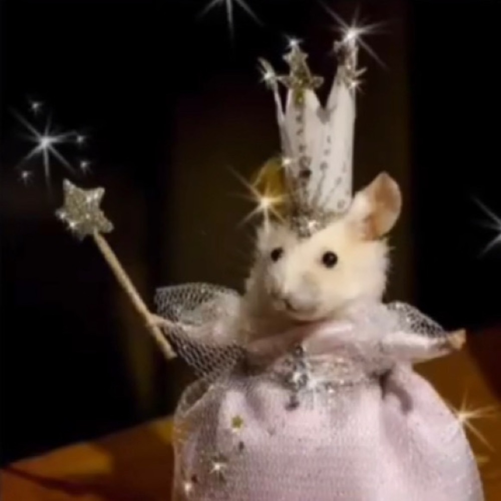 Meet your Posher, Cassandra